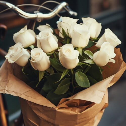 New Roses From Star Roses & Plants